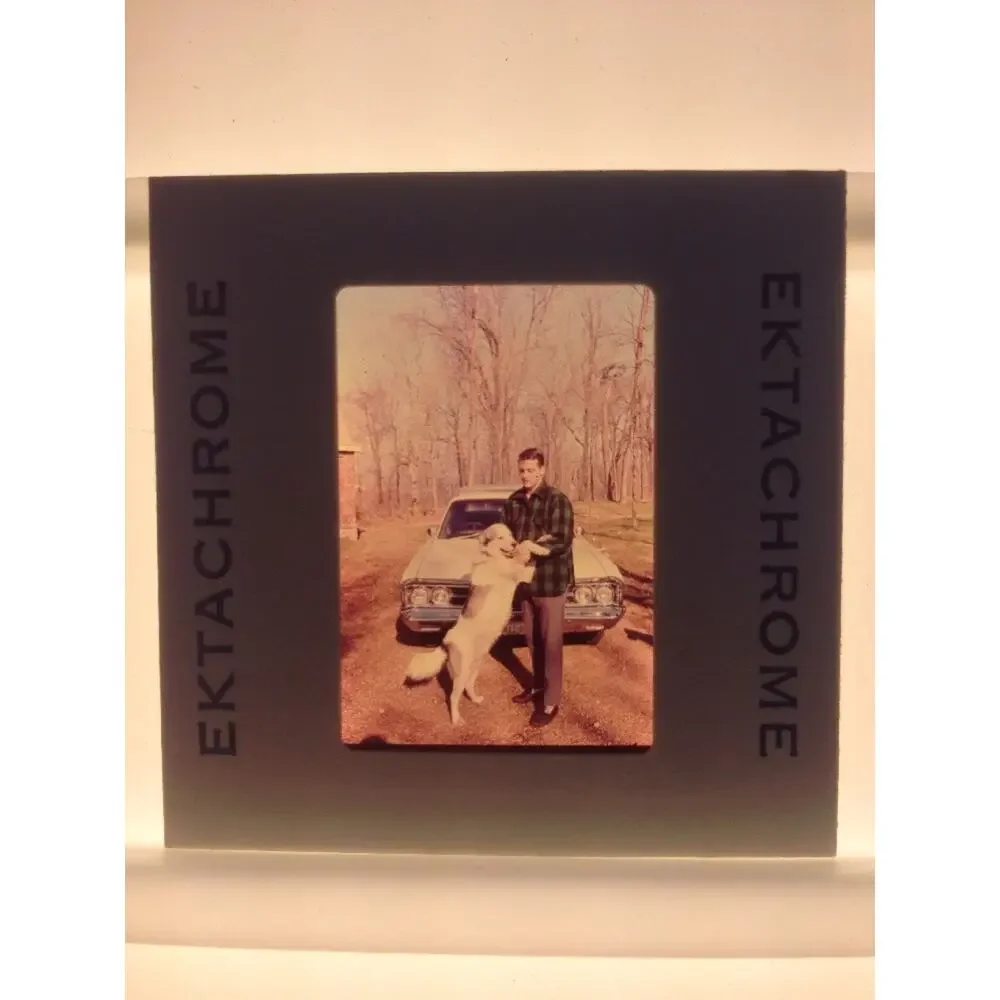 Vintage 70s Man Playing w/ Dog Car Automobile Ektachrome Photograph Color Slide